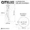 Светильник Citilux CL102053